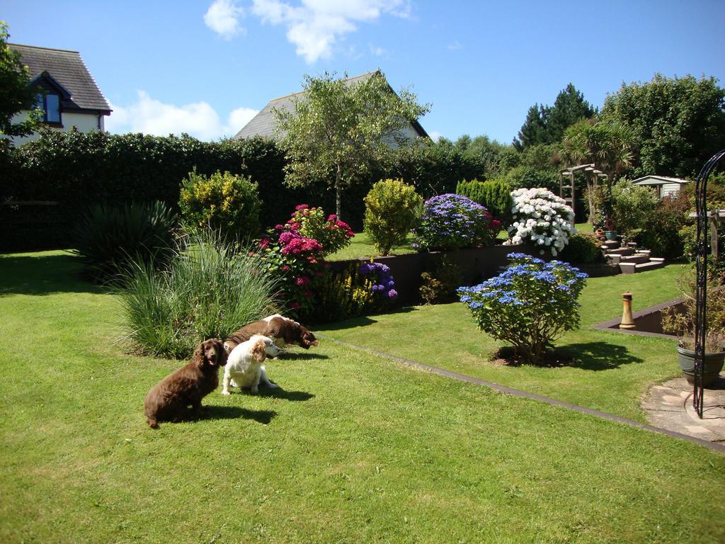 Lakeland Guest House Pembroke Dock Buitenkant foto